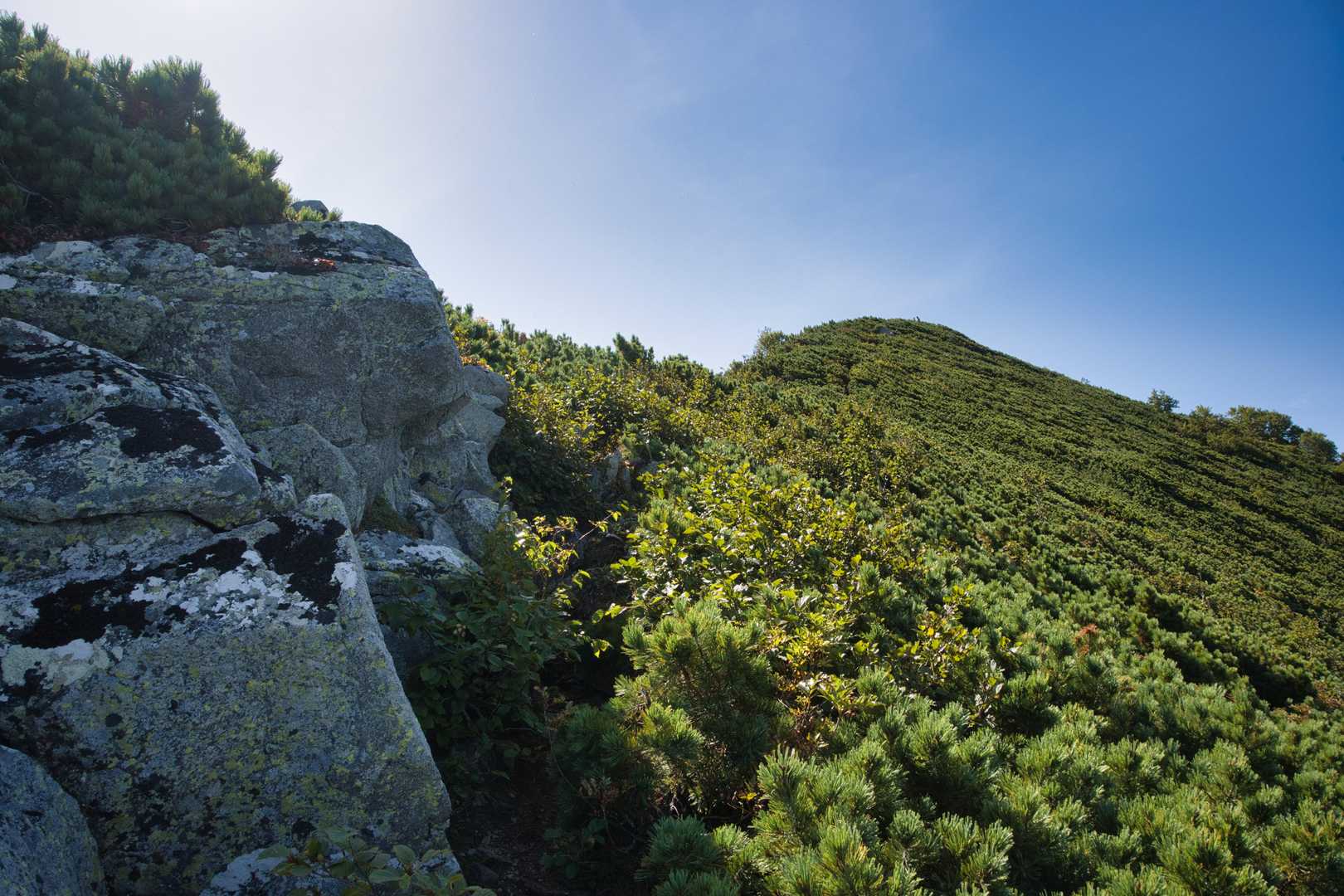 長い登りの先に、ようやく山頂の姿が見えてホッと一息😌