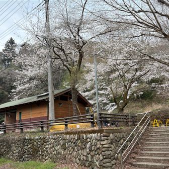 こちらトイレあり。