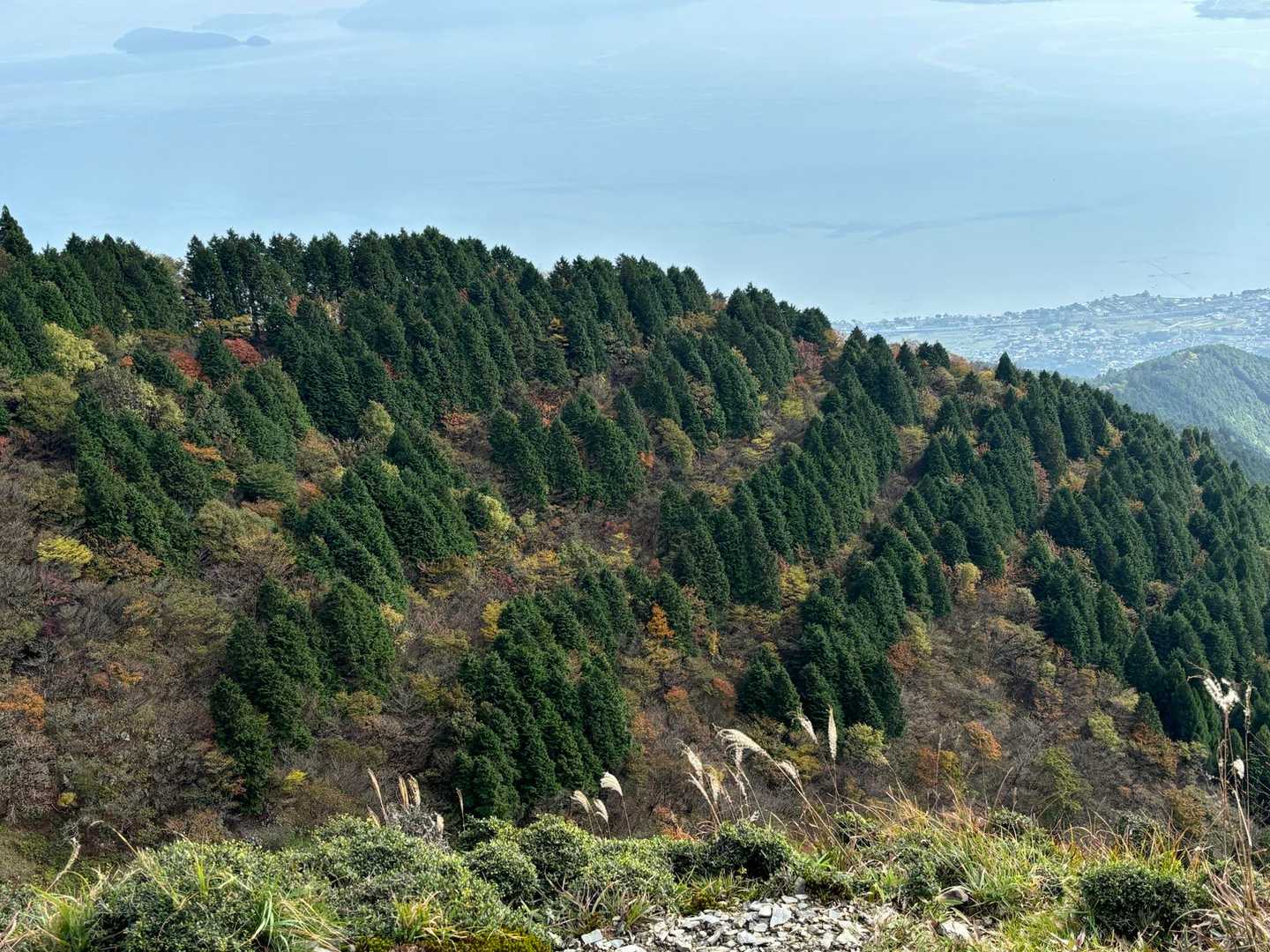 平バス停-アラキ峠-権現山-ホッケ山-小女郎峠-蓬莱山 往復コースの写真