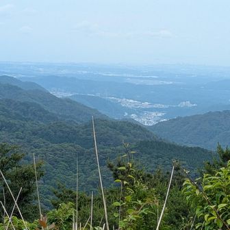 山頂から大阪千里方面、眺望は望めない😣