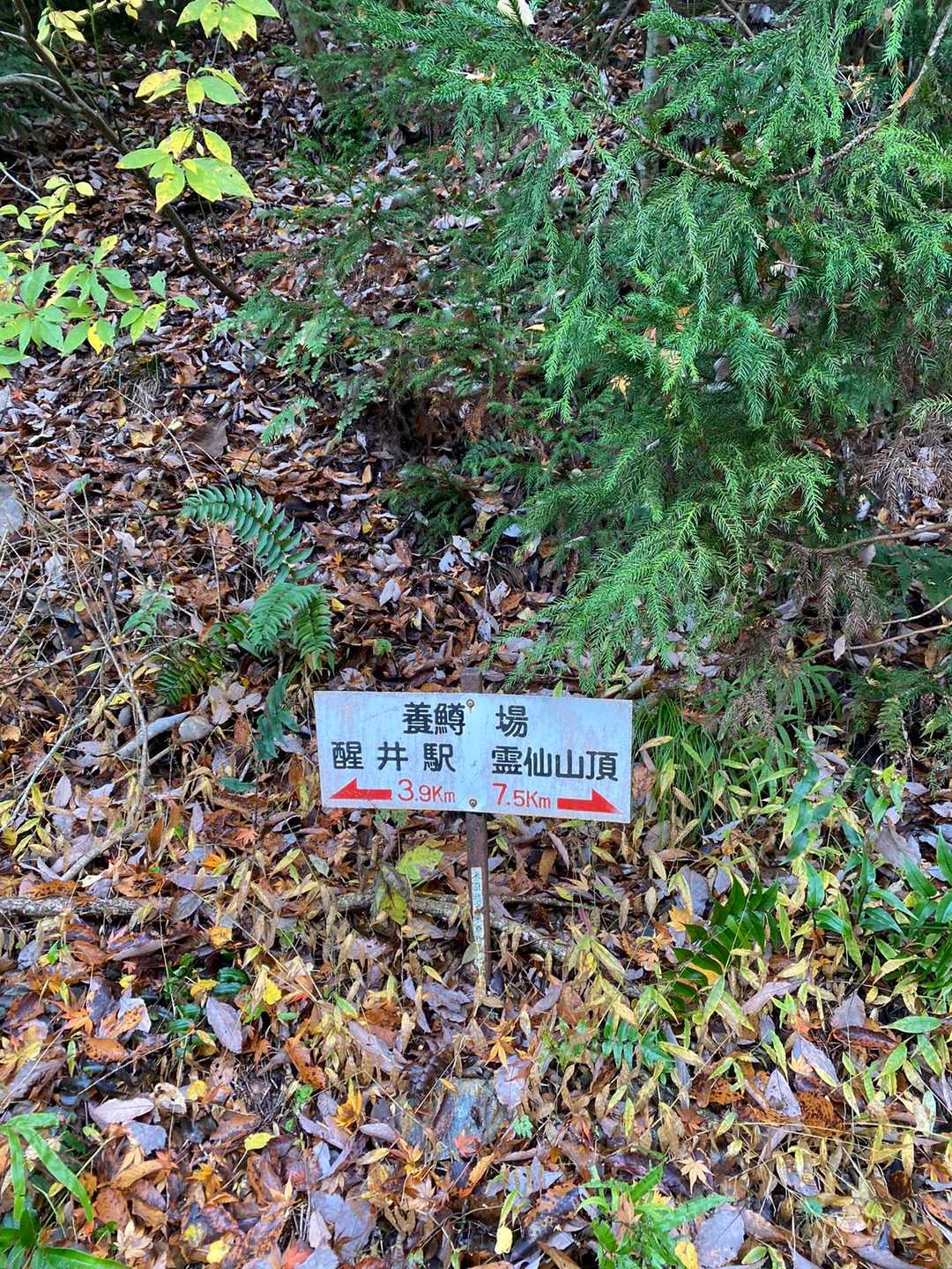 駐車場から登山口まで４キロ歩き‼️隊長「前は近くまで車で上がれたのに」とご不満のご様子。結構前の話みたいでしたが。