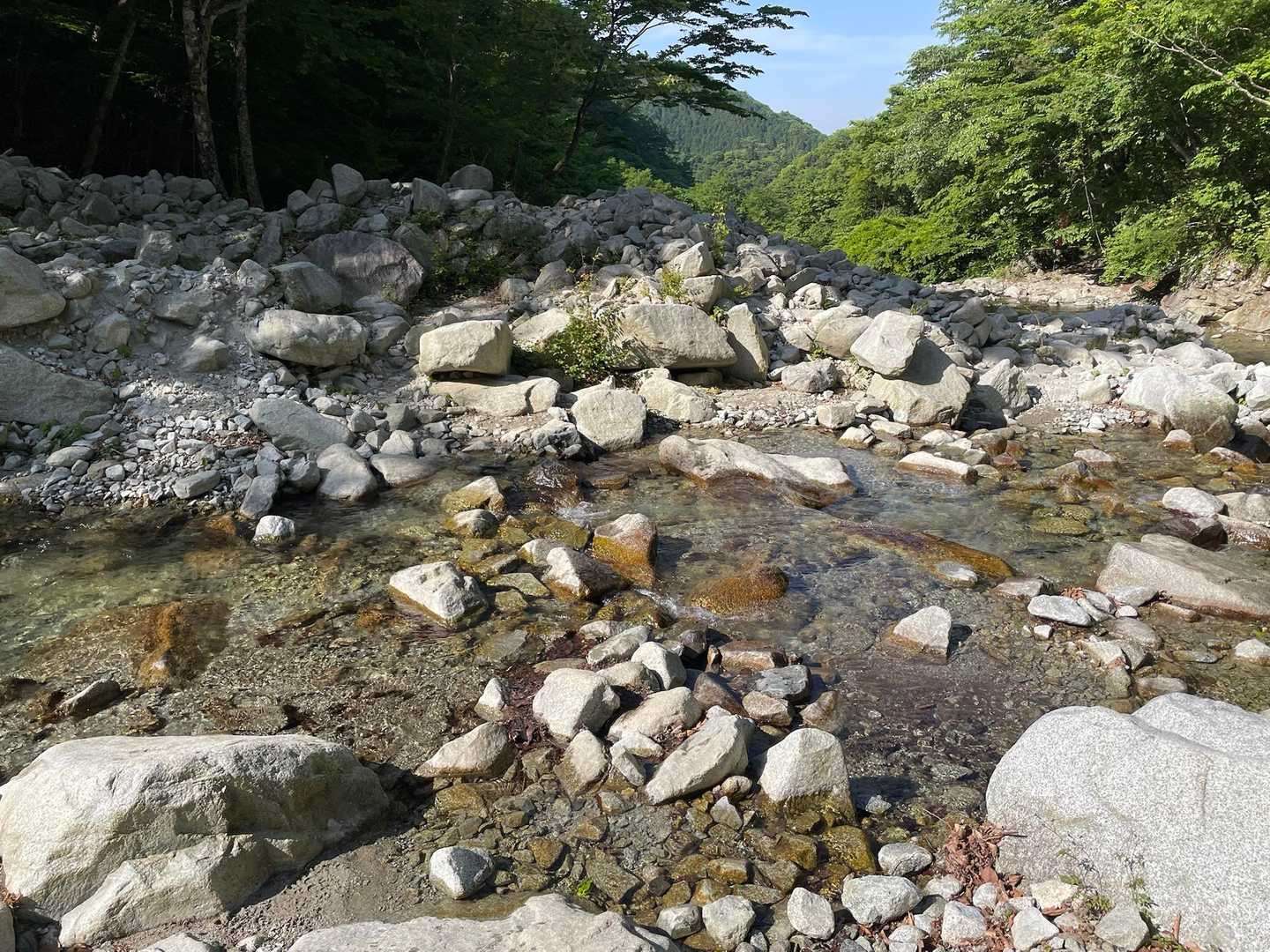 ここが良さそうと　　山友はササっと渉り