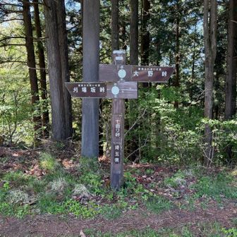 七曲峠