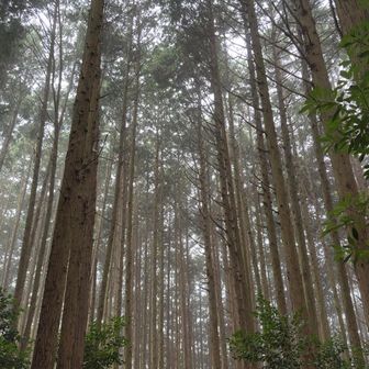 一旦降ります
