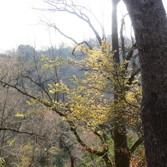 何気ない風景が好きです