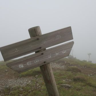 ホッケ山の山頂は強風です。そして真っ白…。この先の稜線歩きを楽しみにしていただけに、早々にリベンジ案件だなーって皆で話しつつ先を進みます。