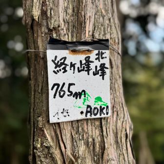 アオキって誰❓