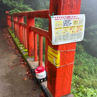 ヤマビル対策用の塩の設置ありがたいです。