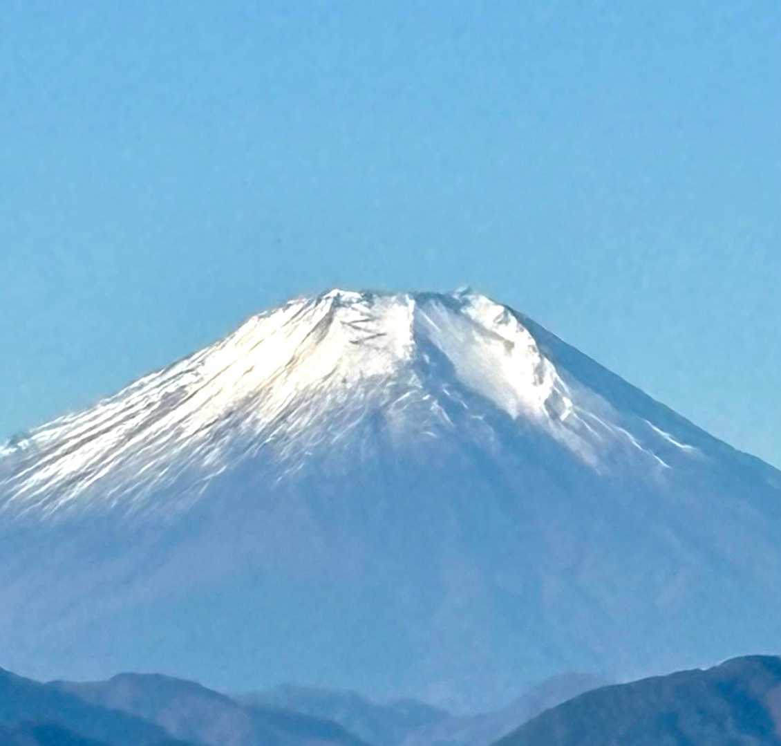 美✨