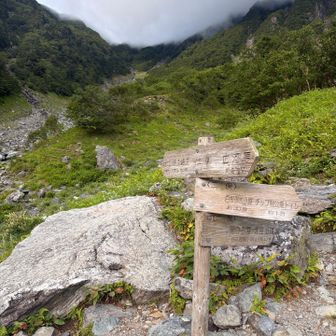 で
分岐
いつかは
八本歯やな