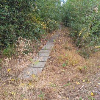 山頂手前は板敷