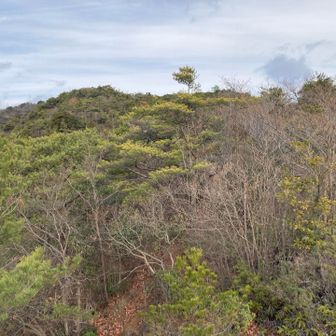 頂上まであと少し