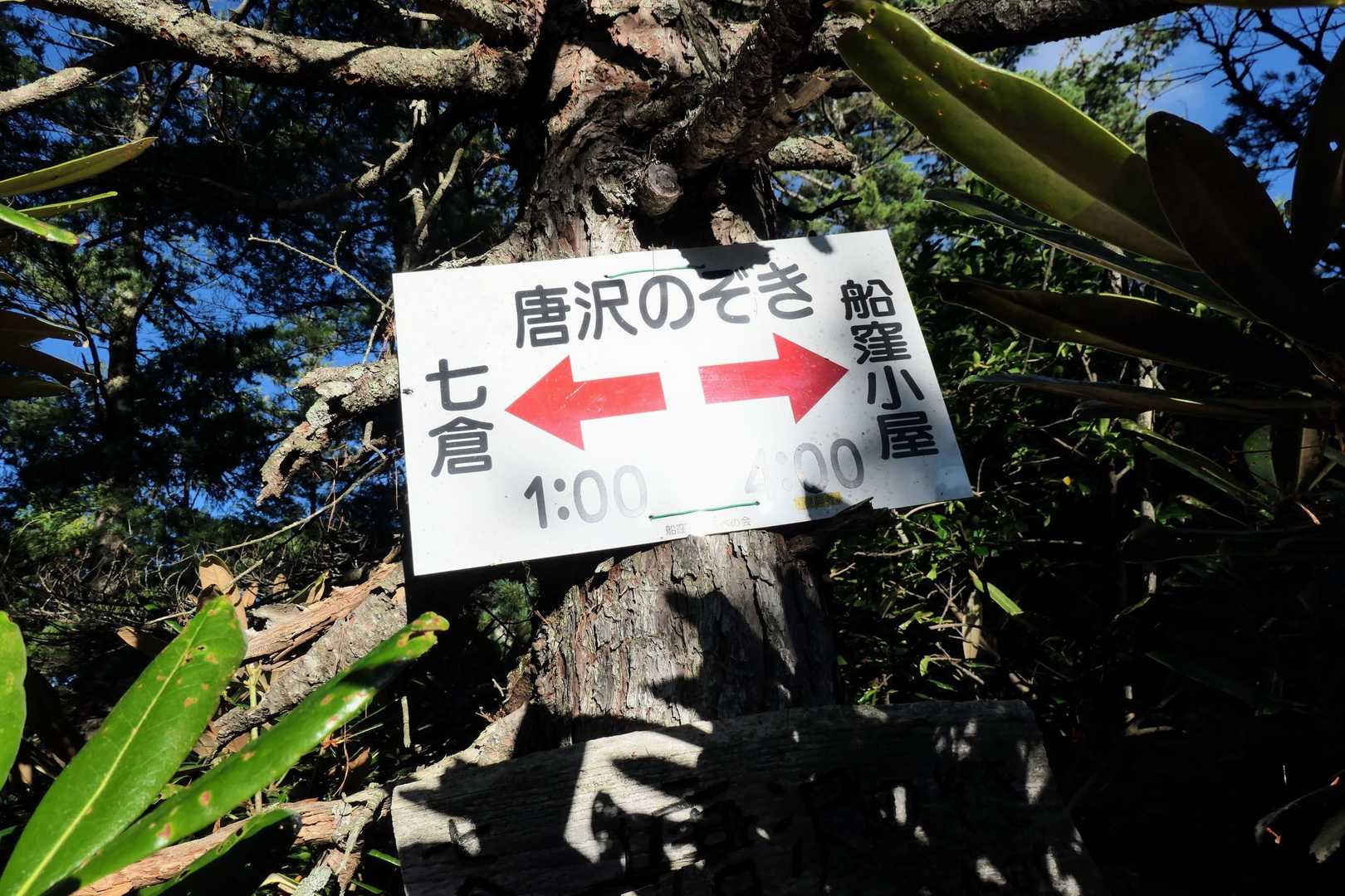 唐沢岳がのぞけるらしい