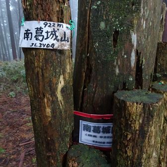 南葛城山山頂到着🙌🏻922m、6℃です