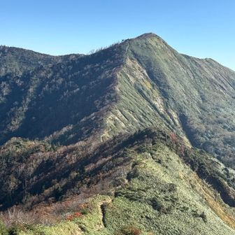 白砂山への稜線