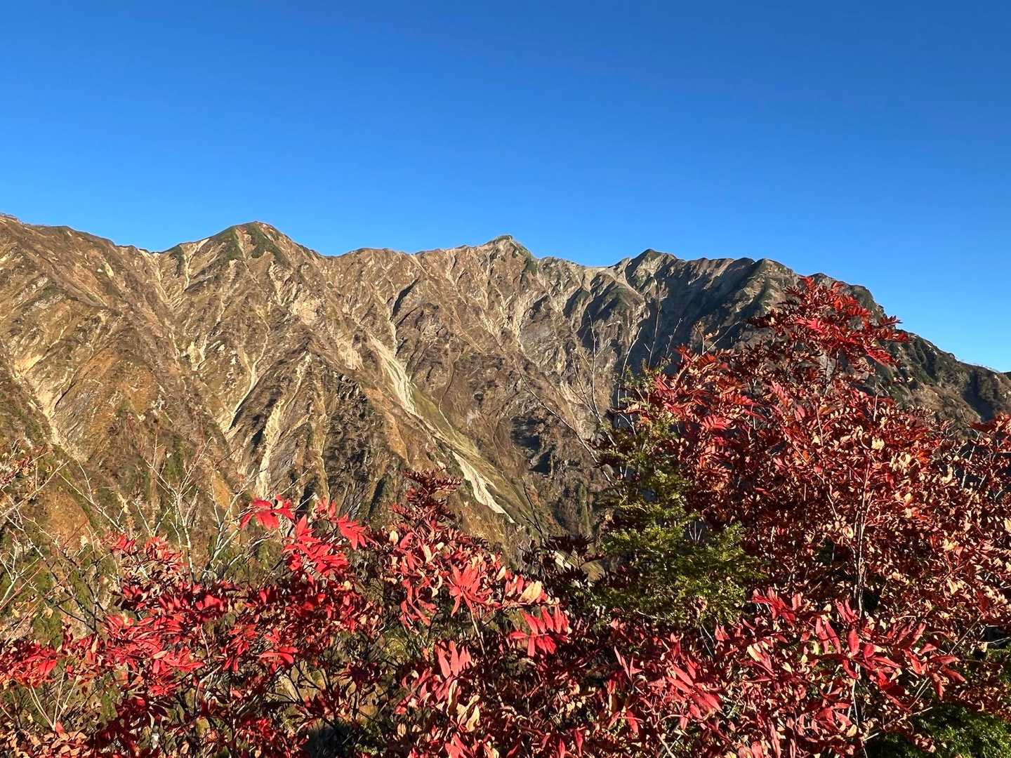 布引山〜鹿島槍の稜線✨
上部の紅葉は見頃を過ぎていたが綺麗だった🍁