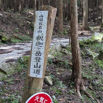 山梨百名山No.58
釈迦ヶ岳(しゃかがたけ)
1,641m
登山道口(1,092m)
