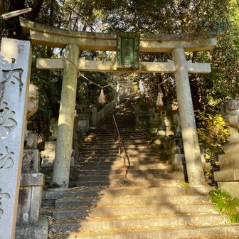 ここ階段が多かったの思い出したわ！