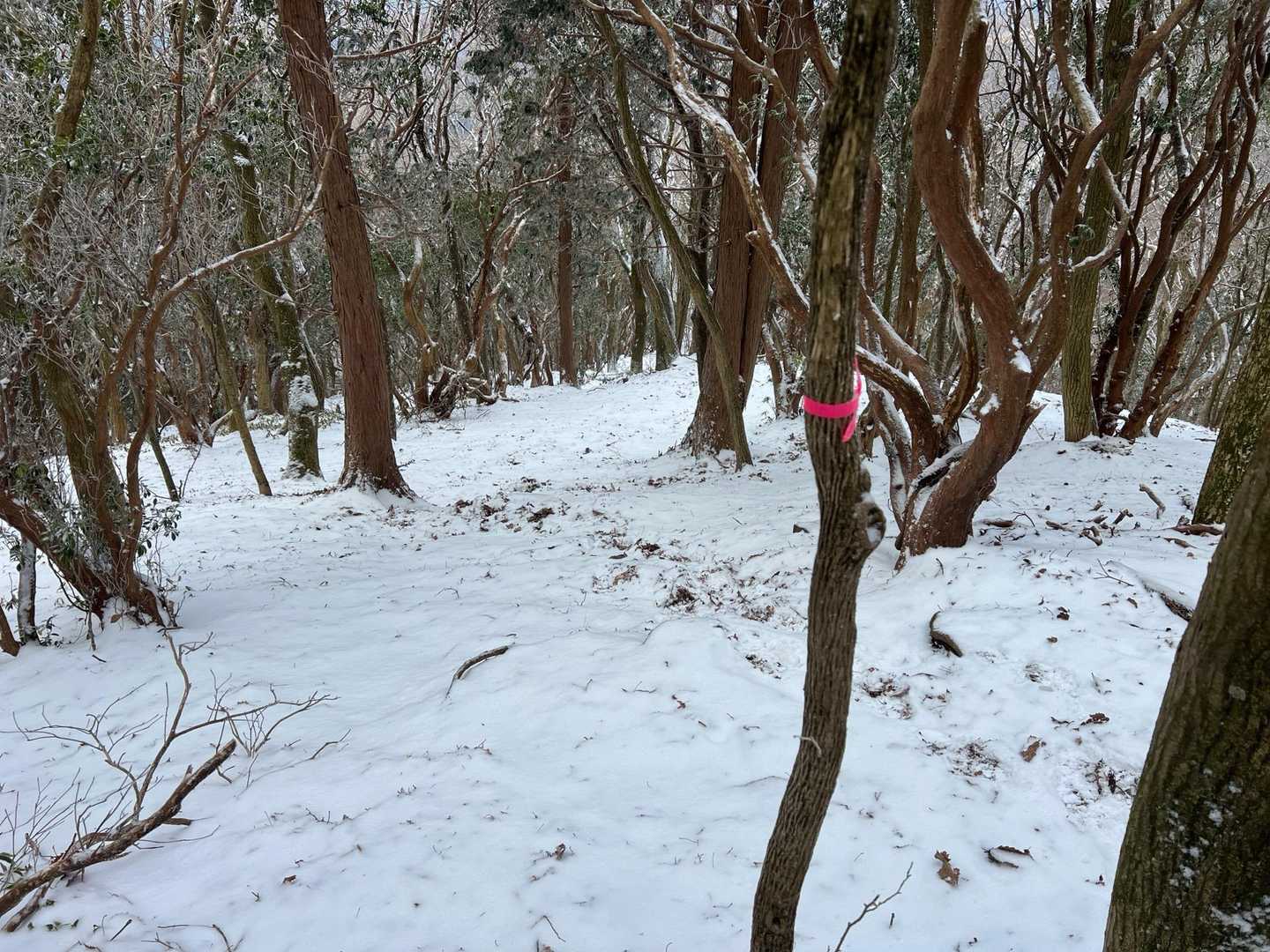 伏石登山口-鞍岳-赤崩登山口 周回コースの写真
