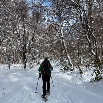 では行きますか！今日もスノーシュー▶️
意外にも雪多くそして意外にも歩かれてる(^^)
トレースありがたや〜🙏