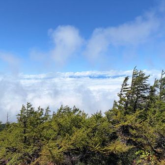 展望は雲の中。
残念だけど、雲海が美しすぎる！