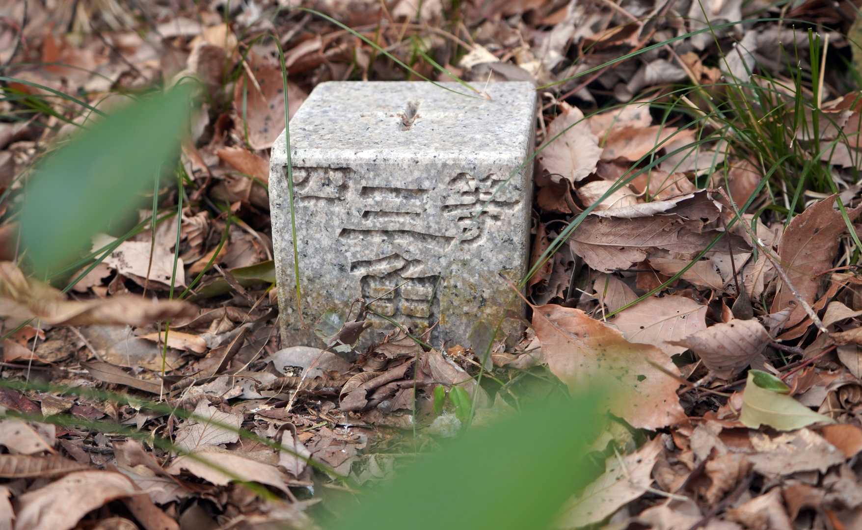高壷山 三角点

等級種別	四等三角点
基準点名	高壷山
北緯	34°11′28″.2511
東経	135°20′09″.9323
標高(ｍ)	222.95
