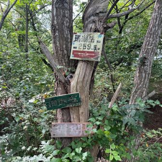 珊瑚岳