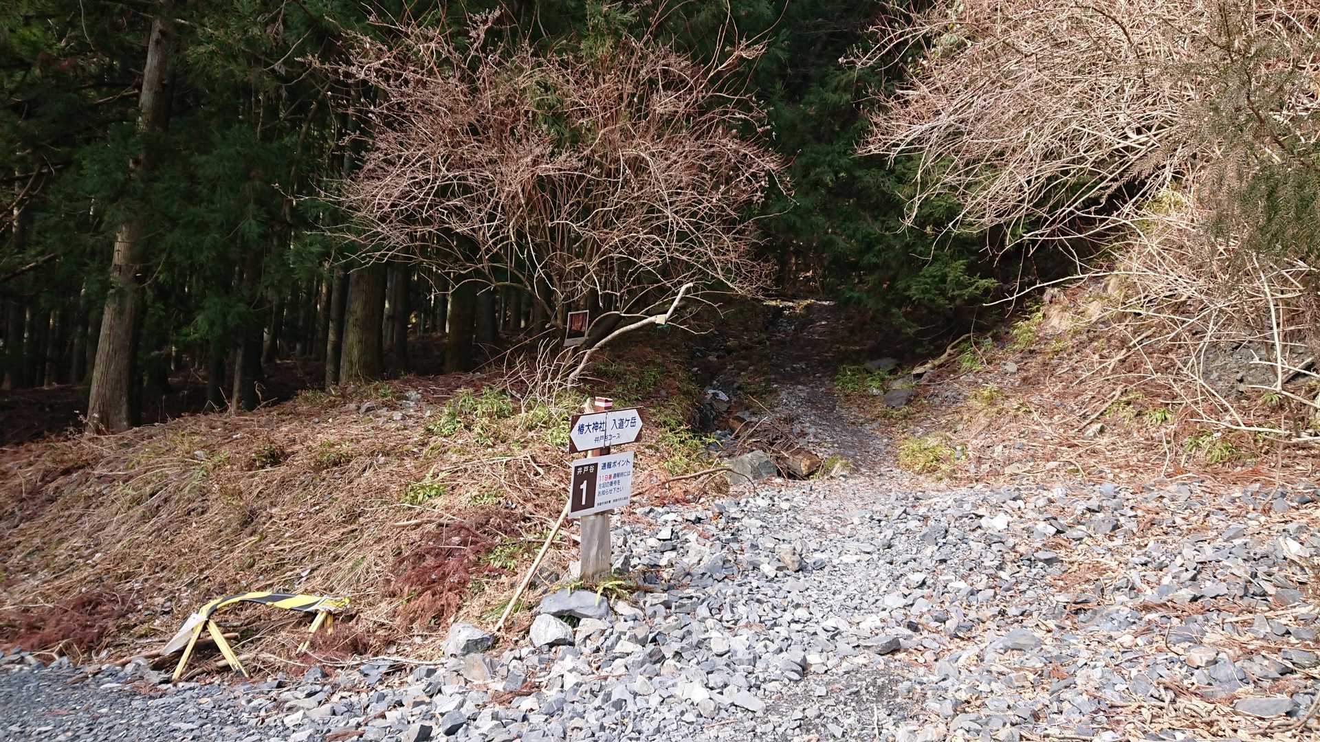 入道ヶ岳  井戸谷登山口