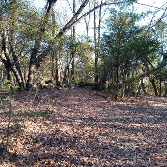 初漕ぎ後、急登を登りかえしていくと⬆️