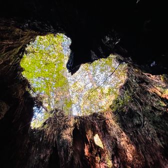 バッチリ❤️は抑える