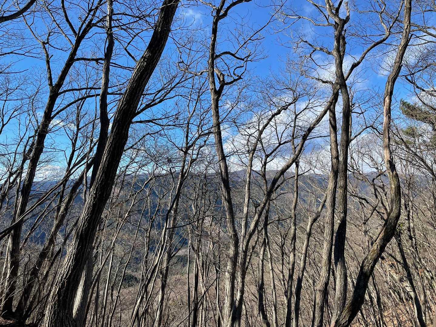 尾出山-高原山-塩沢峠-不動岳 縦走コースの写真