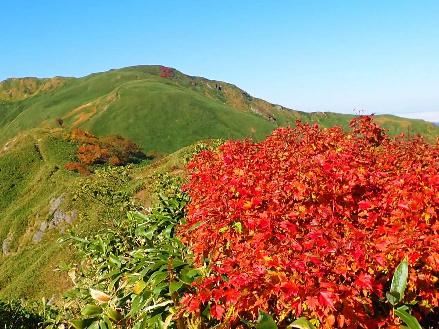 七ツ小屋山へ向かう紅葉稜線！
