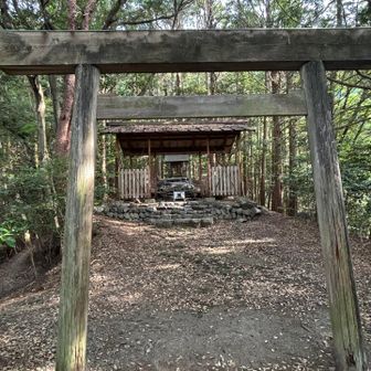 左の緩い登山道で来れば良かったのだ、繋がってたのだ、急階段で死んだ