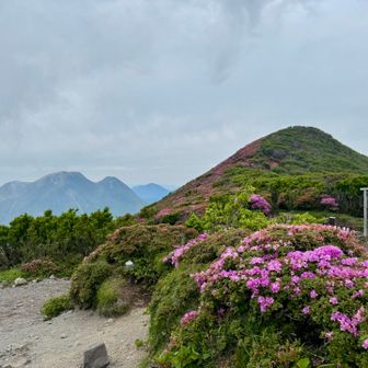 楽しかった山行、ここから先は、下山中心です