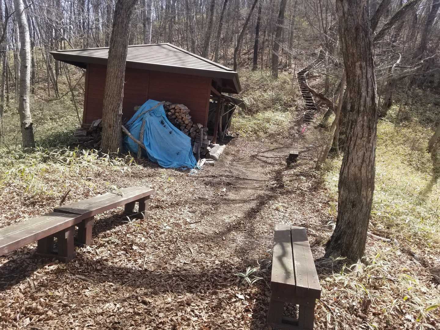 ちょっと下ると避難小屋？と休憩ベンチ。