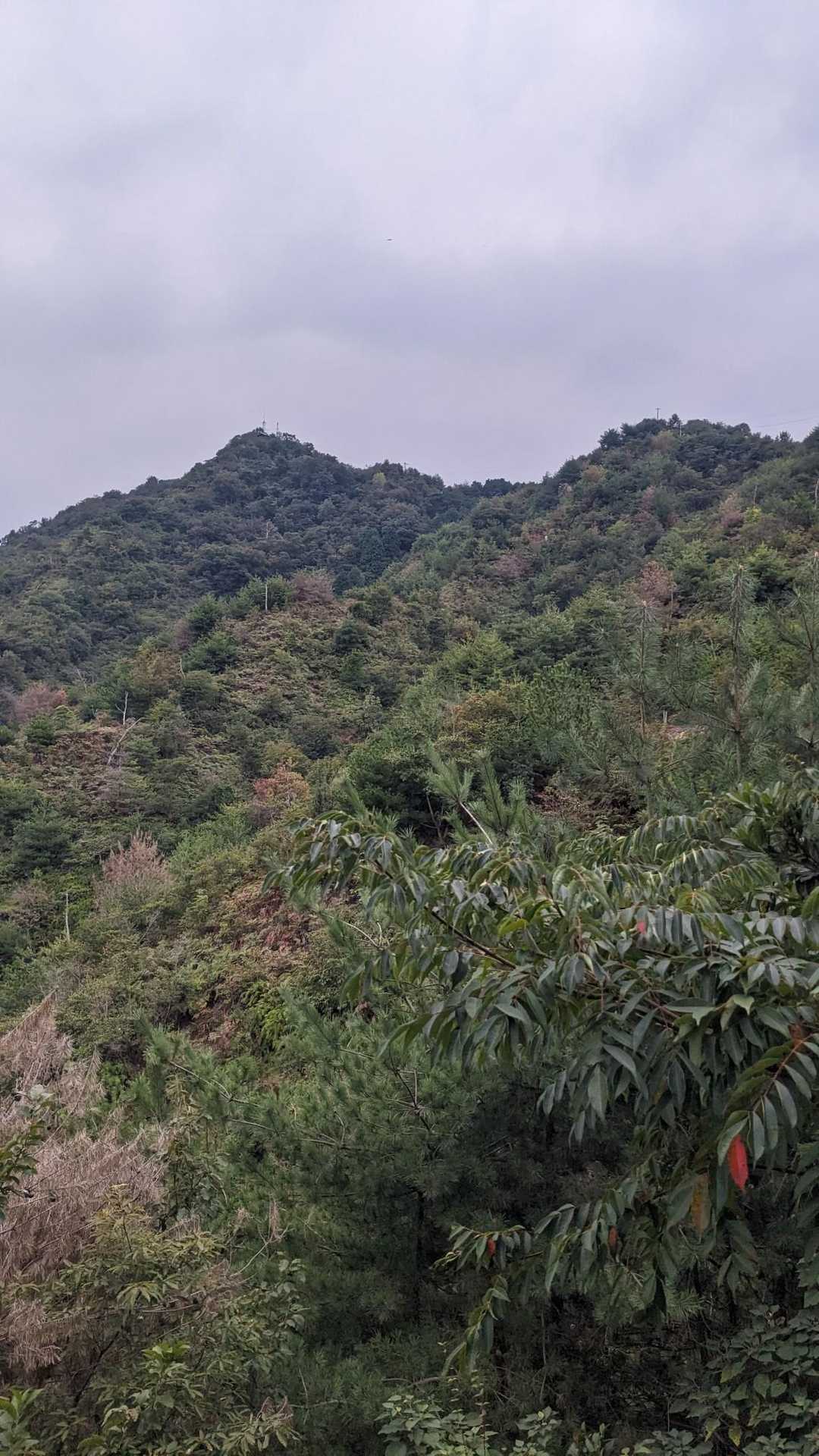 笠松山