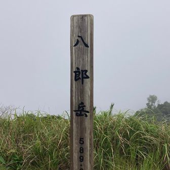 ガスガスの山頂。
眺望の参考になりません。
晴れた日に撮影した方の写真を見て下さい。