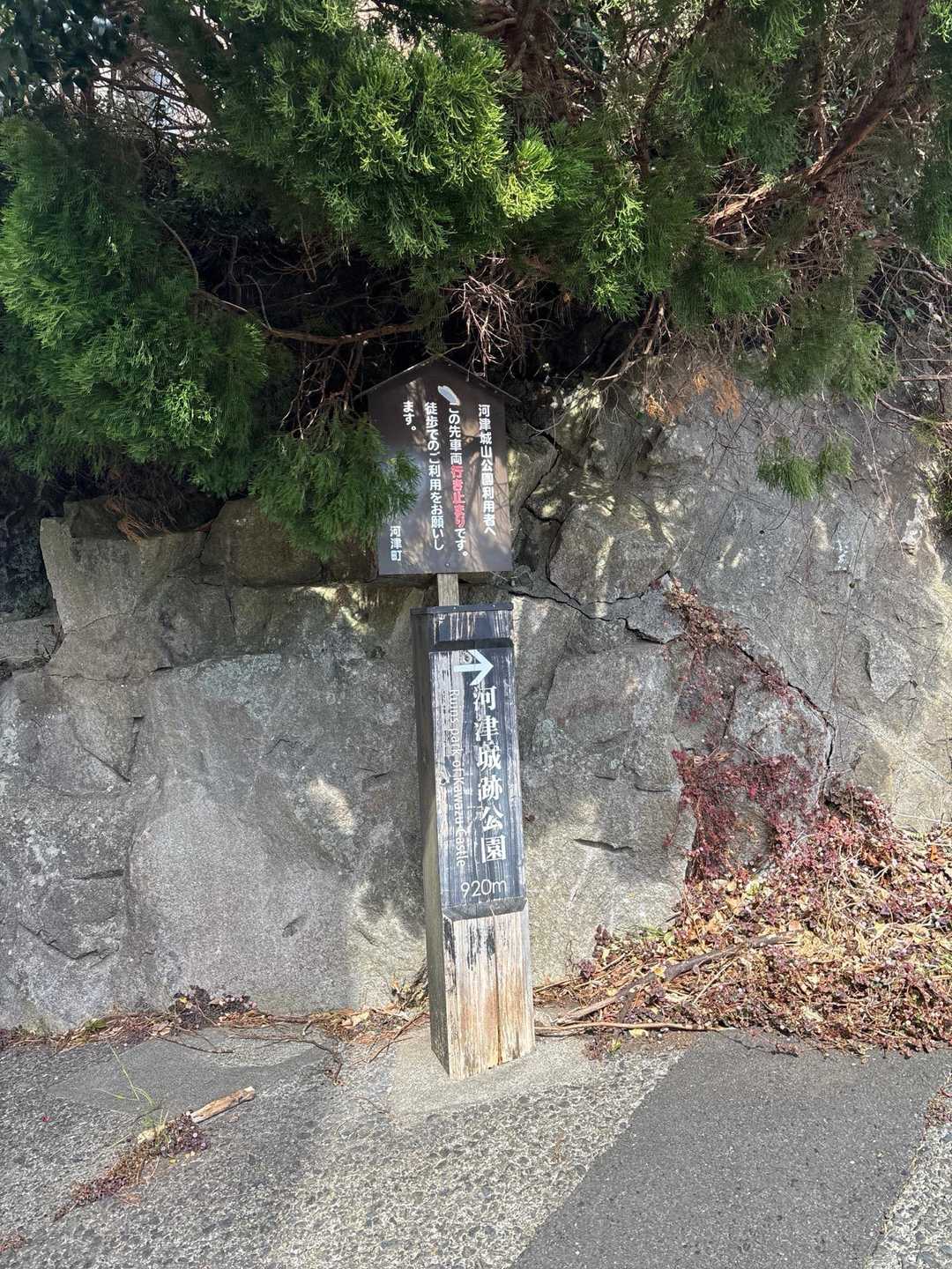 河津城址公園入口-河津城山 往復コースの写真