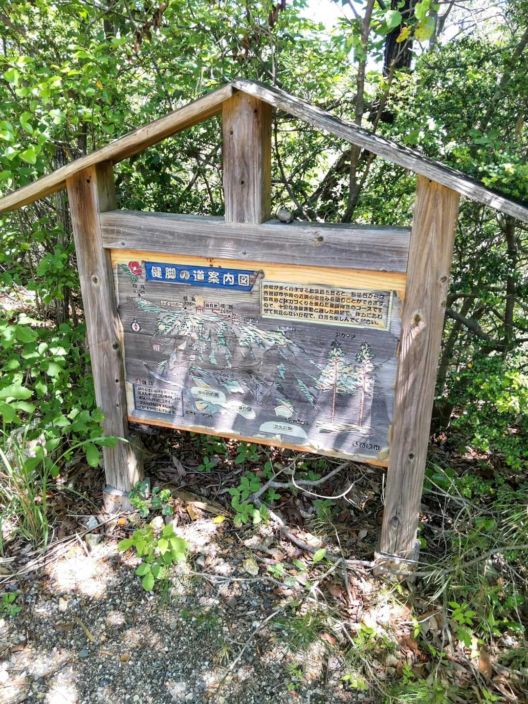 多賀坂峠 周回コースの写真