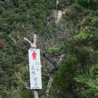 向こう尾根に男岩が見える
ポイント　