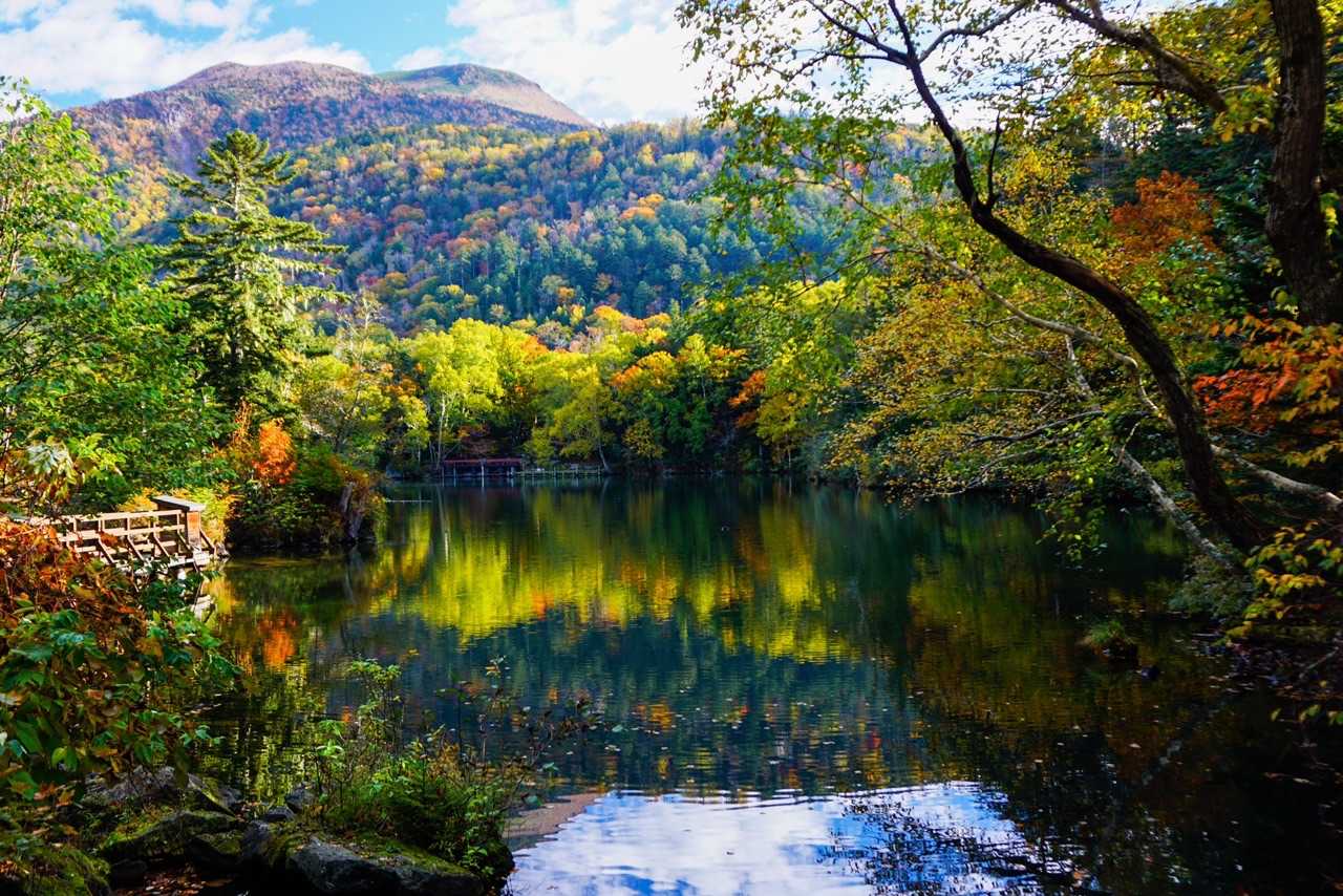 登山口からいきなりこの景色です🤩