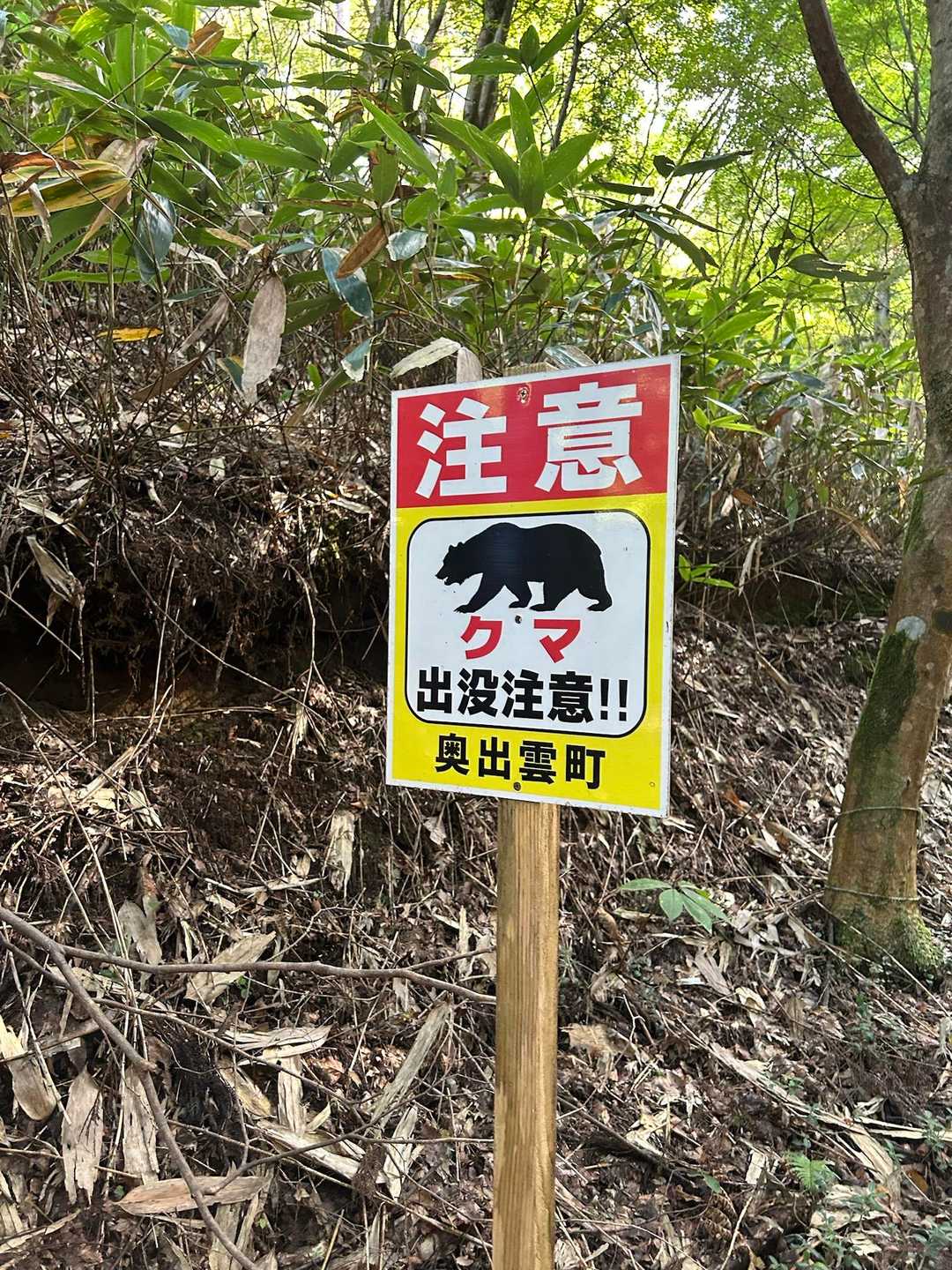 玉峰山 往復コースの写真
