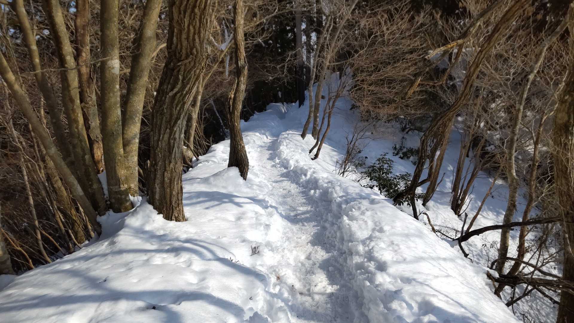 結構な雪❄