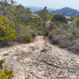 こういう道は歩きやすいのですが、林の中の湿っぽいルートになると羽虫が纏わりついてくるので、もう少ししたらモスキートネットが必要になるかも知れません。あと、結構暑かったので、次来る時は速乾性のTシャツとアームカバー必須ですね。