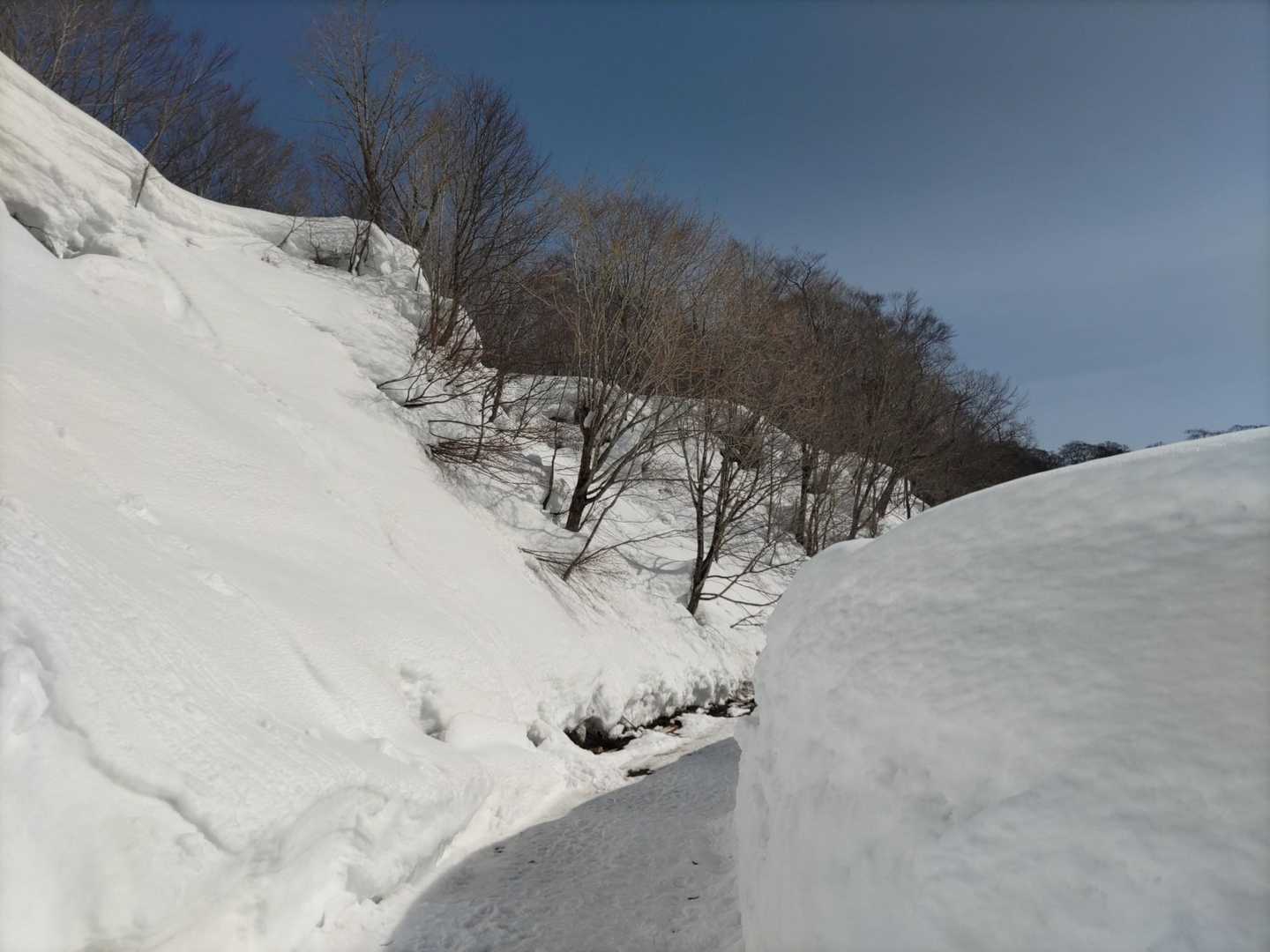 こんな時間でも一緒にスタートの方2人いました😊嬉しいな