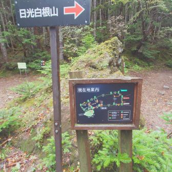 このへんのコースはこんな感じ。