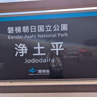 今回も楽しめました