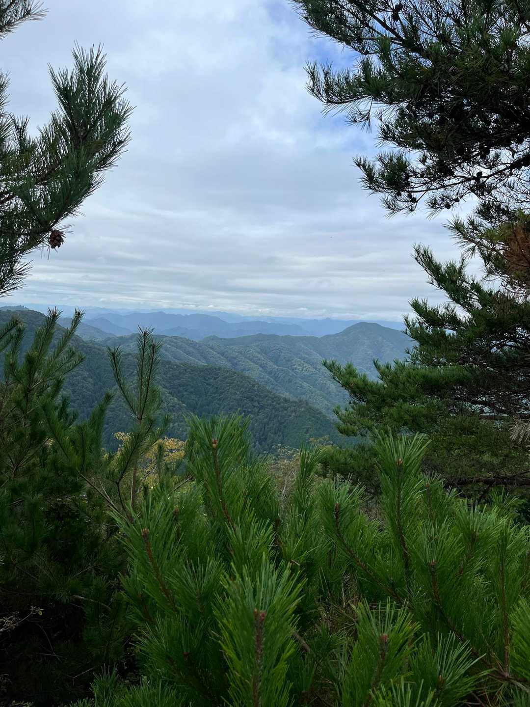 山頂にて