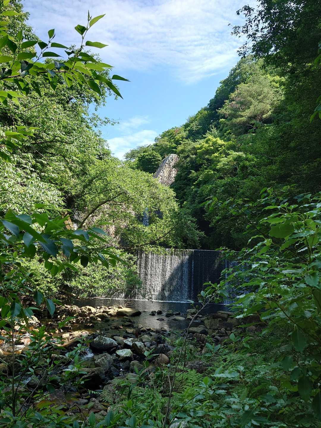 新神戸駅-滝山城跡登山口-東門-料金所-正門 縦走コースの写真