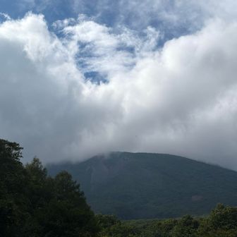 やっぱり山頂は雲の中